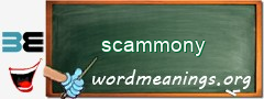 WordMeaning blackboard for scammony